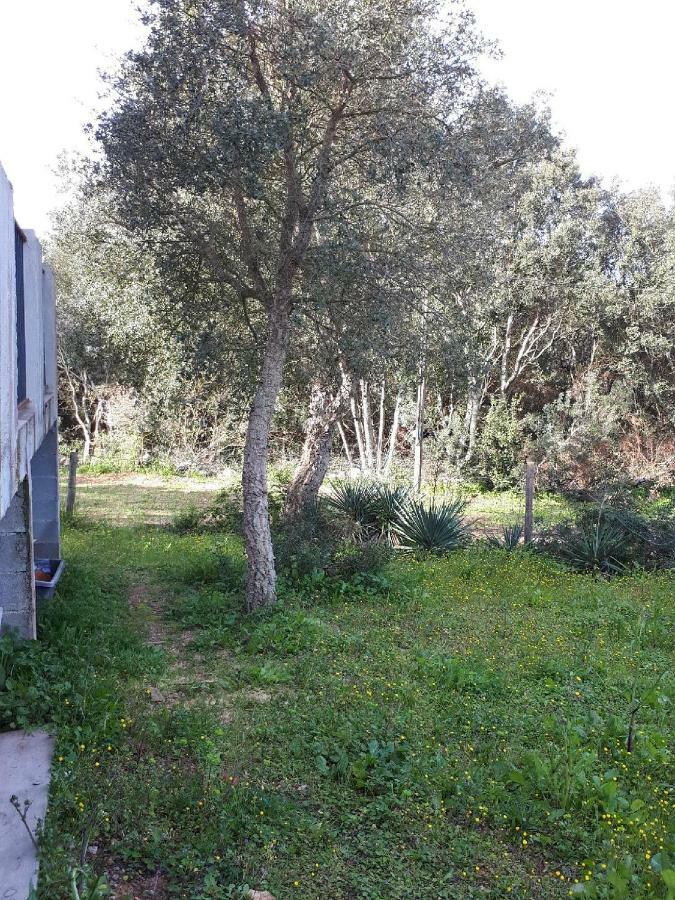 Villa Casa Ghje Porto Vecchio Exterior foto